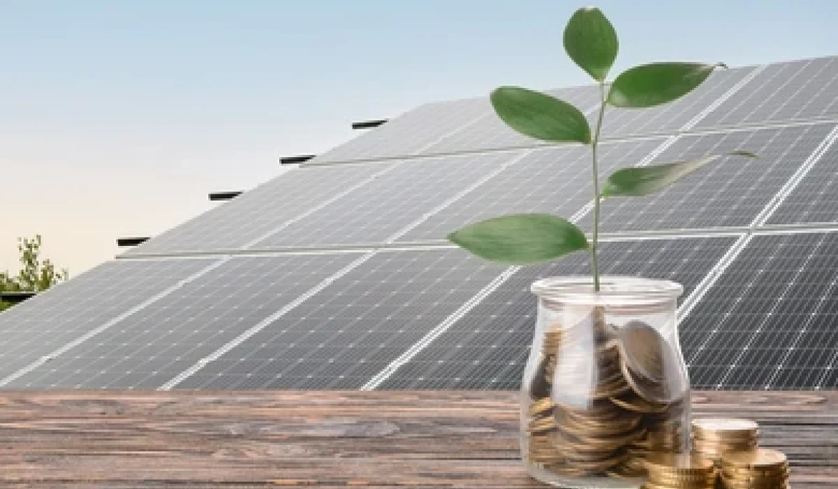 How Much Can You Save with Solar Energy in India?